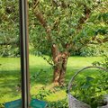 Der Ausblick aus dem Schlafzimmerfenster in ruhiger Lage.